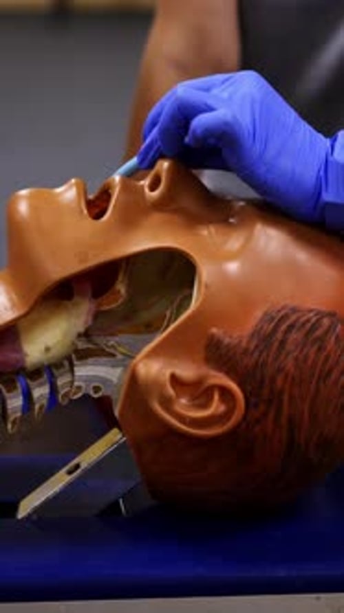 Medical Professional Uses Instrument on Training Mannequin