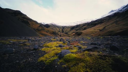 Icelandic Valley