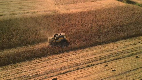 Corn Harvesting - 2K