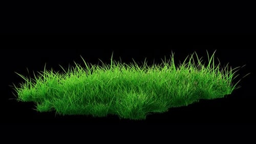 Green Grass Windy Meadow Loop