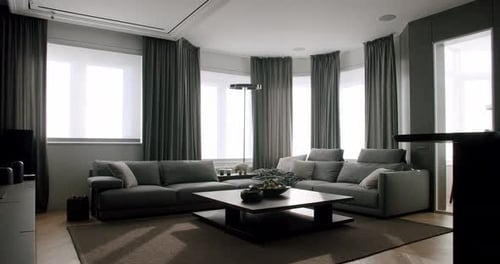 Modern Living Room with Gray Sofas and Natural Light
