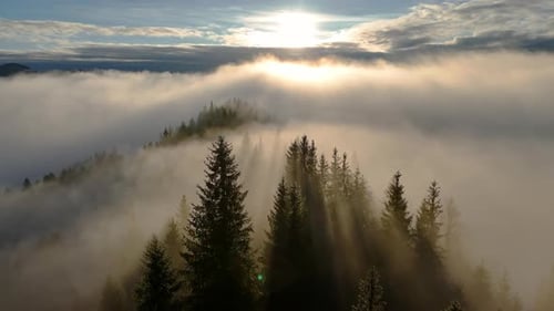 Breathtaking Aerial View of Bright Sun Rays Piercing Through Thick Morning Fog Illuminating the Dark
