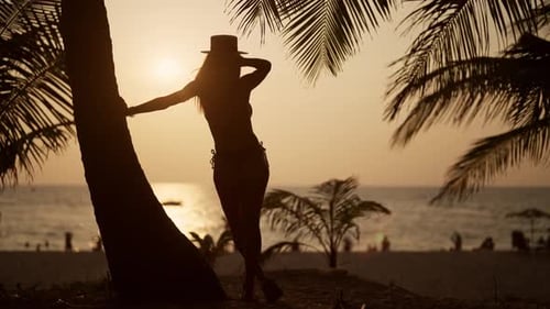 Woman Relaxes on Tropical Island Beach Pretty Woman in Bikini Admire View Under Palm Tree on Sand