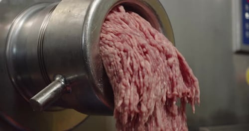 Minced Meat Coming Out of a Meat Grinder Food Industry Concept