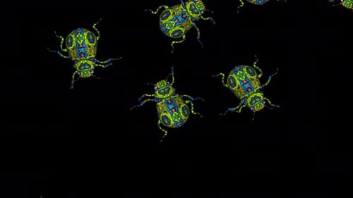 Swarm of 7 Fantasy Scarab Beetles - Walking over Screen Loop - Top Close Up - Alpha Channel - 4K