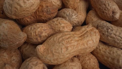 Pile of peanuts in shell macro close-up
