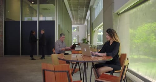 Focused woman working on laptop in open office area with large windows, indoor plants,