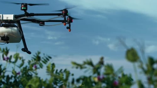 Drone voando sobre plantas em um campo