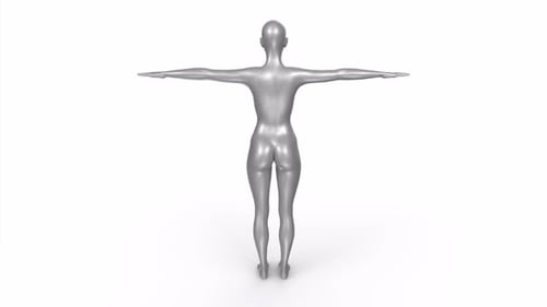 Woman body base 3d human rotating loop