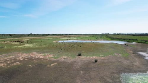 Video from above provides a breathtaking view of the saltwater marshes along the Lincolnshire coast,