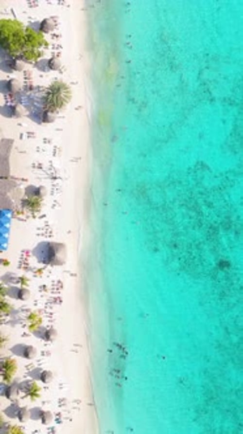 Vertical top down aerial showing vibrant tropical coastline at Cas Abao