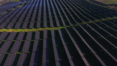 Solar panels cover a large field in a rural area for energy production