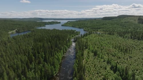 Aerial view of rivers and forests in Northern Sweden