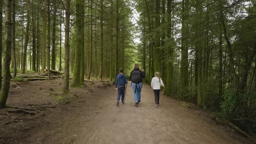 Young Family Mother And Kids On Forest Walk Adventure In The Woods Together