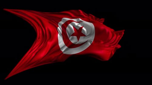 Realistic Waving Tunisia Flag Animation