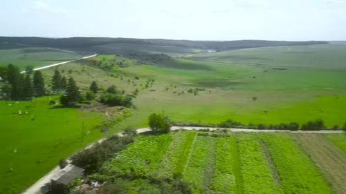 Spray Fertilize On Field With Chemicals In Agriculture Field