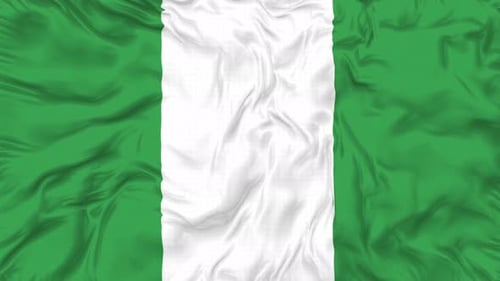 Realistic Waving Green and White Flag Animation