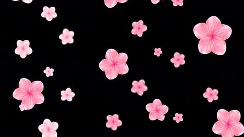 Spring Flowers | 4K Alpha