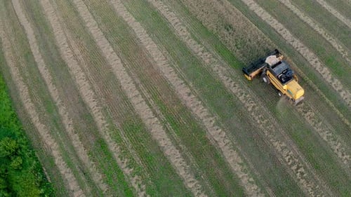Harvester et batteuse cueille du blé mûr sur le terrain