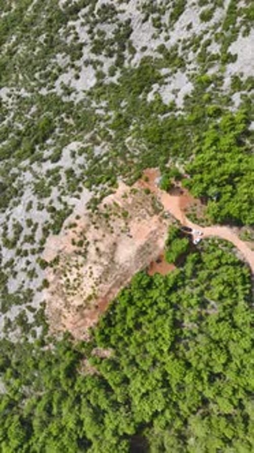 Vertical Video Aerial Adventure Journey to the Green Forested Mountains
