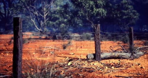 Rustic Landscape Features Weathered Fence Posts in Sunlit Australian Outback