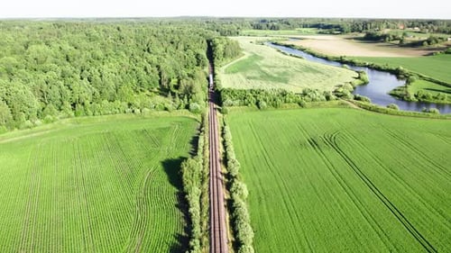 Fly over train approaching from forest, summertime