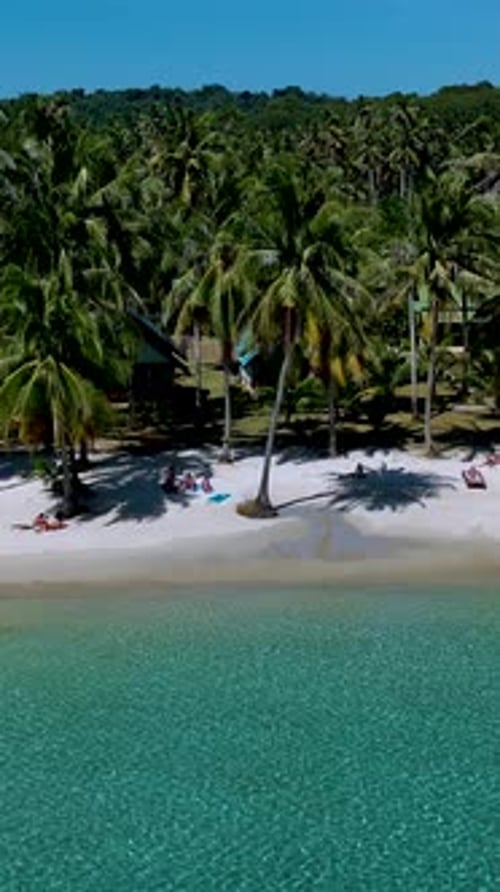 Explore the Serene Beauty of a Tropical Beach in Koh Kood Thailand with Swaying Palms
