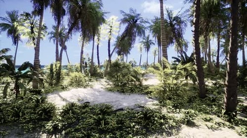 Sunny Tropical Beach with Palm Trees and Sandy Path