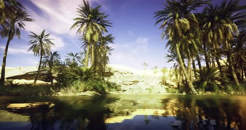 Majestic Palm Trees Reflecting in Tranquil Water of Desert Oasis