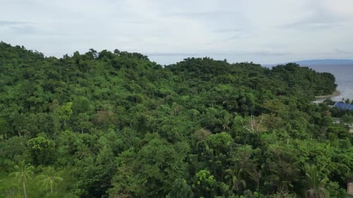 A breathtaking aerial footage flying over a dense forest on hills, showcasing the beauty of nature a