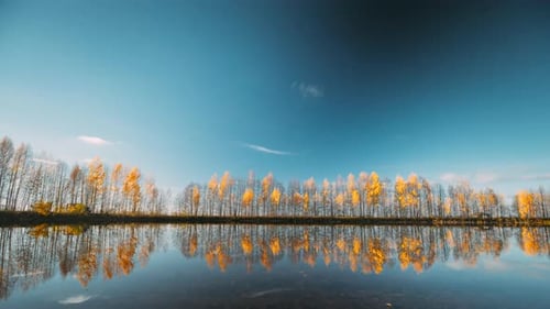 Autumn Forest Woods Lake Coast