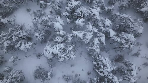 Montagnes enneigées et brouillard - 2K