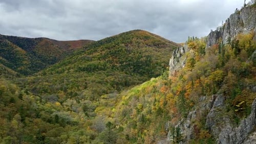 Sunlight Moving Over Forest and Mountain Range Timelapse