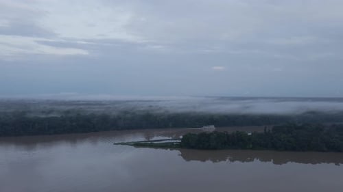 Congo Basin rainforest in the democratic republic of Congo.