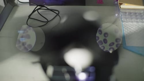 Closeup of Microscope Glasses Showing Cells and Bacteria
