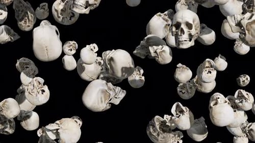 Realistic Skulls Falling and Rotating Seamless Background
