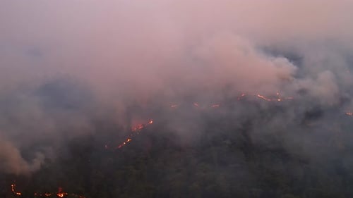 Aerial View Jungle Fire, Natural Disaster