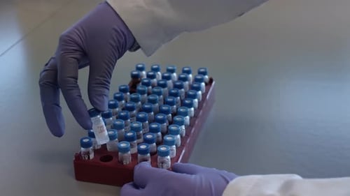 Scientist Takes Vial Sample from Lab Tray