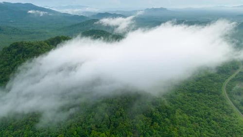 Aerial view morning scenery Mist flowing over the high mountains.