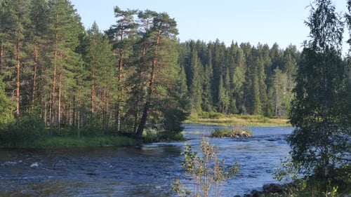 Rocks and rocky rifts on a mountain river in summer. View on the valley and the river.