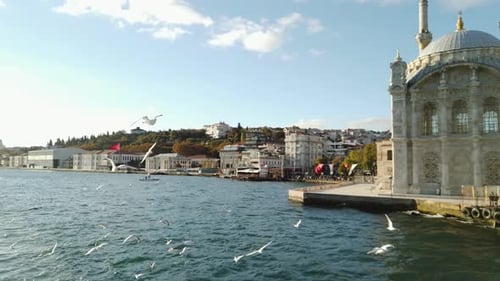 Seagulls Flying in Front of Beautiful Mosque on Bosphorus in Istanbul