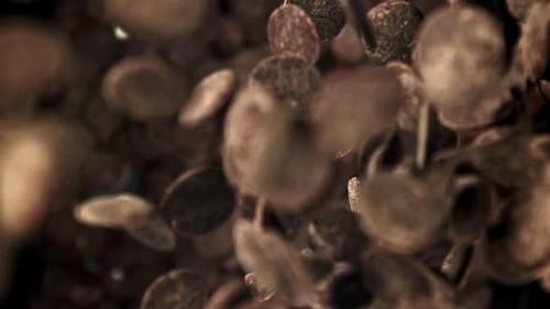 Chocolate Chips Fall Down Filmed on a Highspeed Camera at 1000 Fps