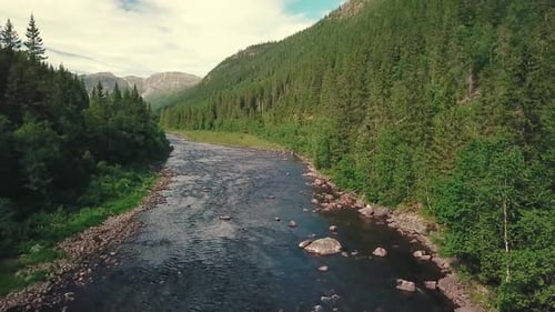 Forward slow panning drone shot over a river next to a road in a forest. Mountains are shown in the