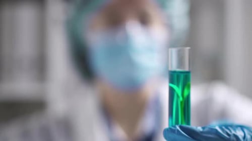 Biochemical Research. Woman Working With Plants. Study Of Plant Sprouts Development Pharmaceuticals