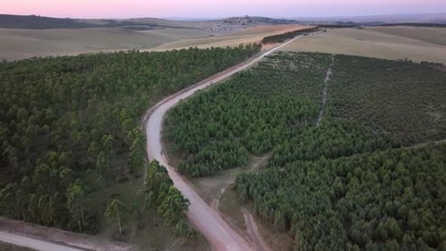 Vista aérea del paisaje rural con árboles y colinas