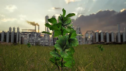 Tree And A Factory Emitting Smoke, Highlighting Environmental Issues
