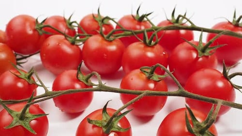 Bunch of fresh red tomatoes with green stems isolated on white background.