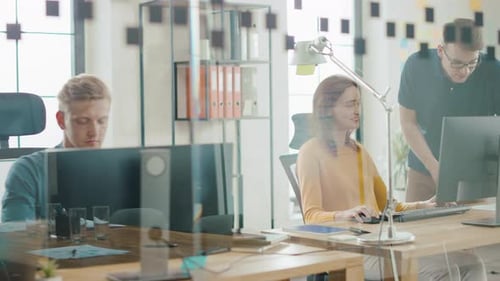 Row of Diverse Team of Brilliant Young Professionals Working on Desktop Computers. Modern Stylish O