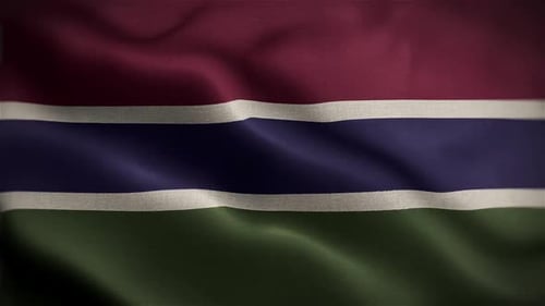 Realistic Flag Waving Motion Background Loop