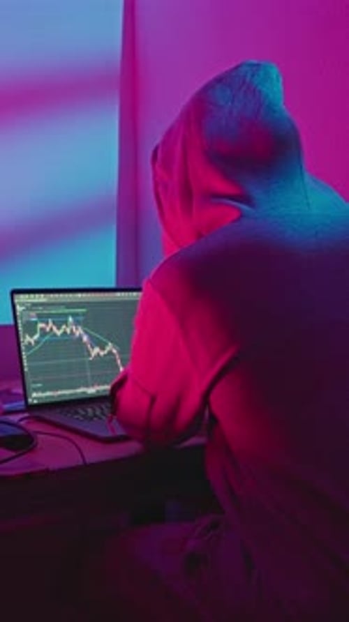 Hooded Figure at Computer with Financial Chart